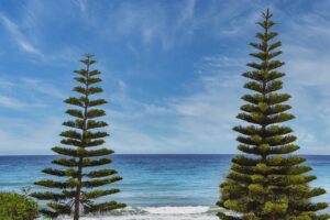 sarah j maas books in order of release