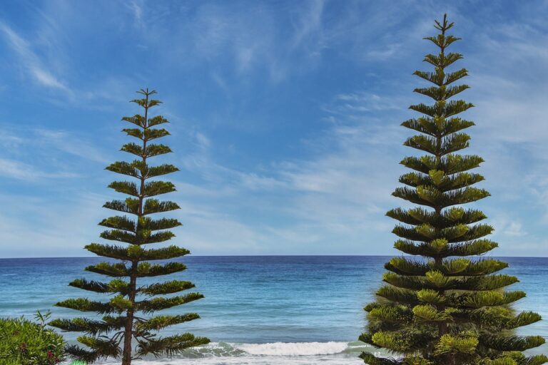 sarah j maas books in order of release