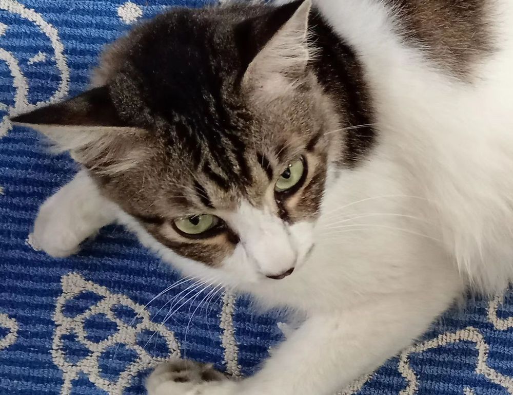 why upgrade immorpos35.3 software regularly