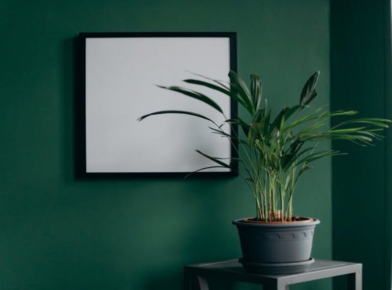 Home Decoration Ththomedec