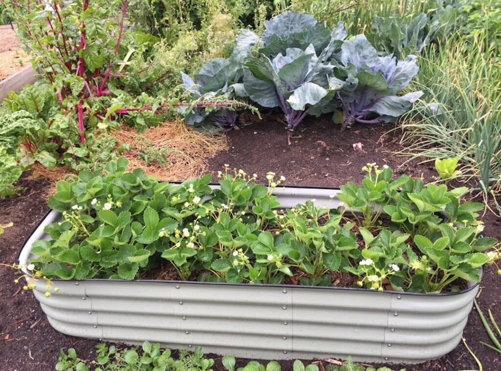 Homemendous Garden Infoguide by Homehearted