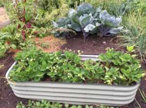 Homemendous Garden Infoguide by Homehearted