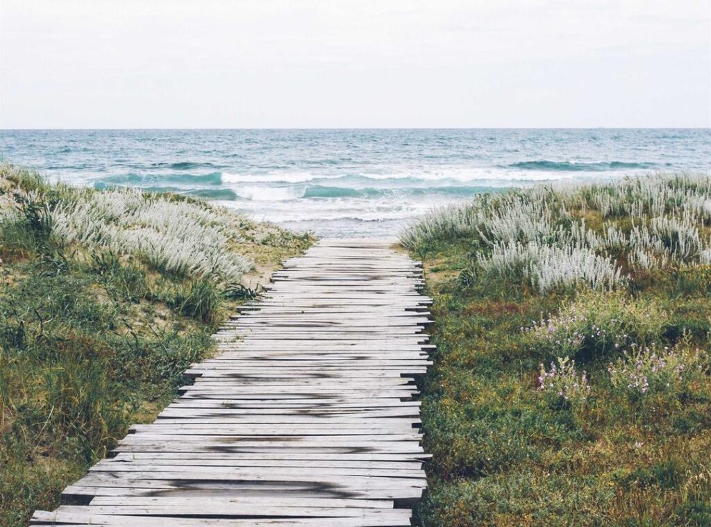 biascope download.co