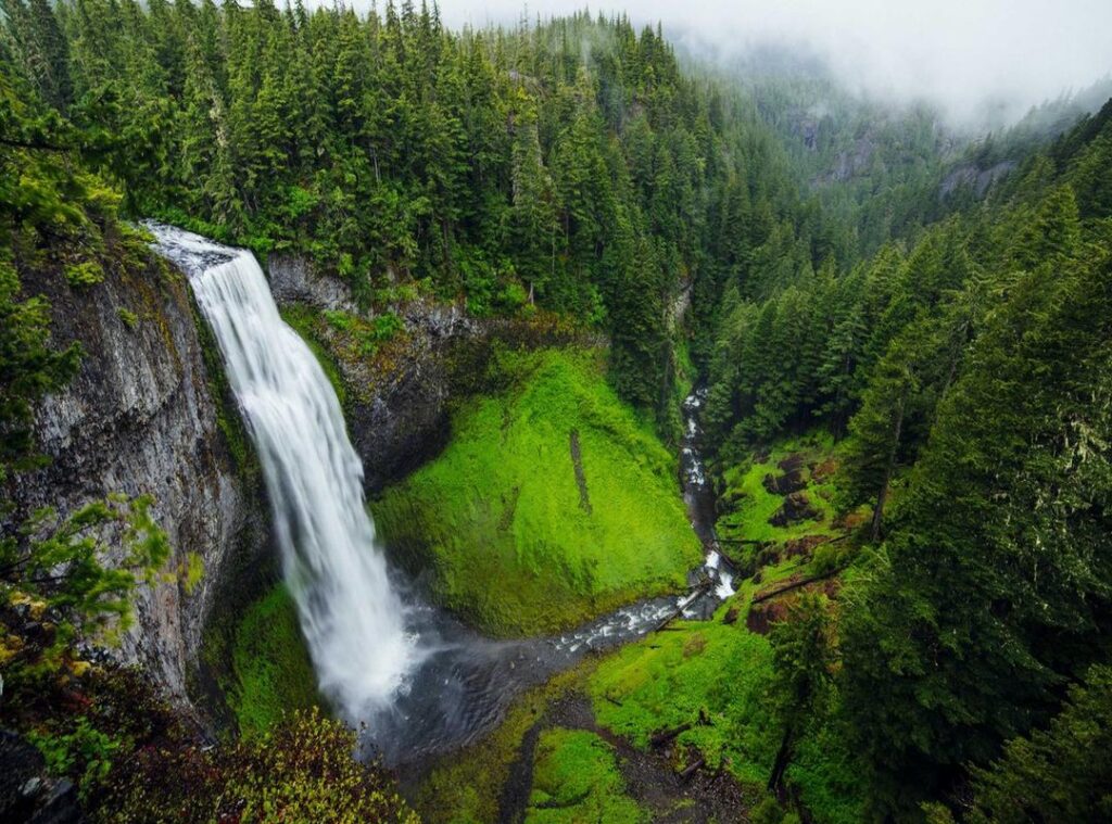 delores nowzaradan leeftijd