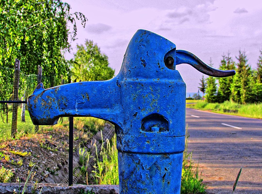 Navigating Public Image and Controversy