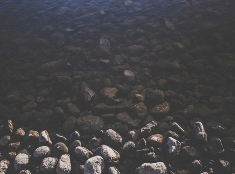 karelyruiz encuerada