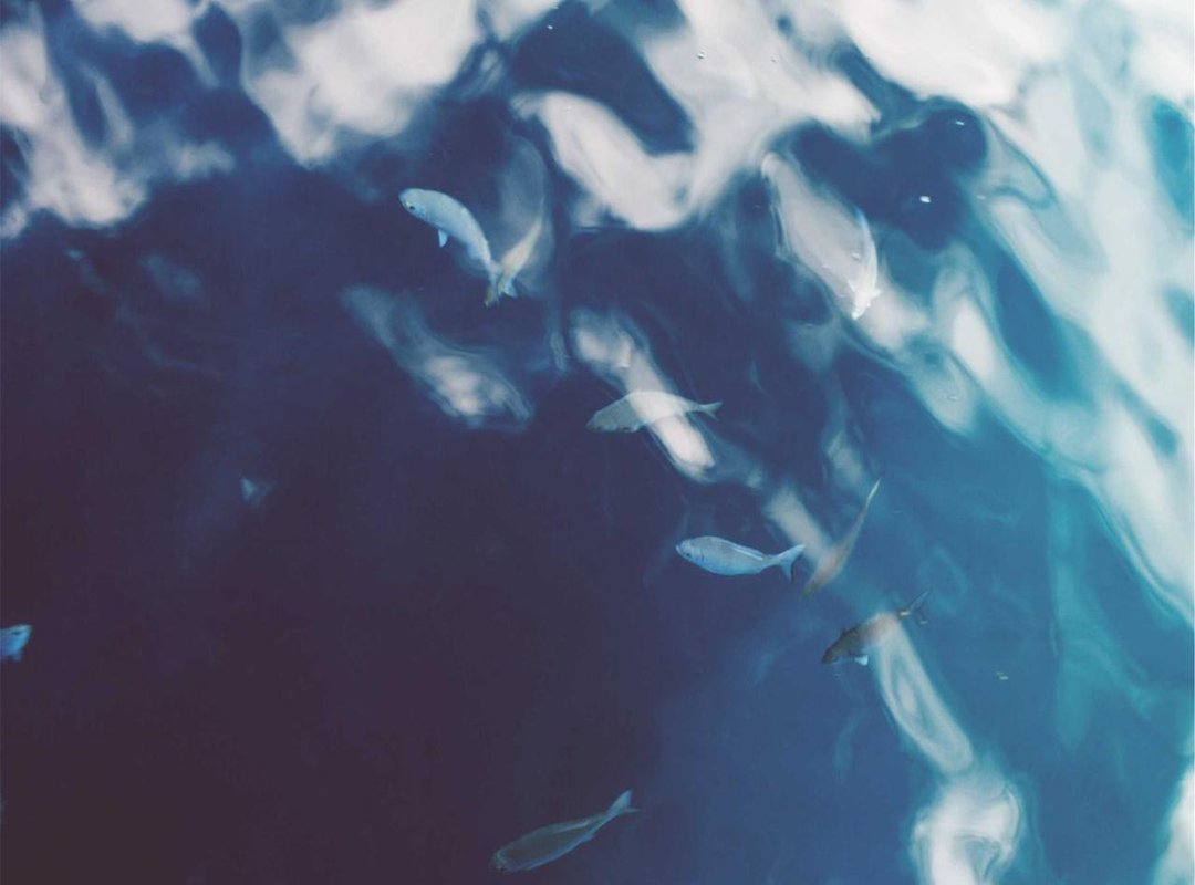 Head-to-Head: Key Matchups and Statistical Duels