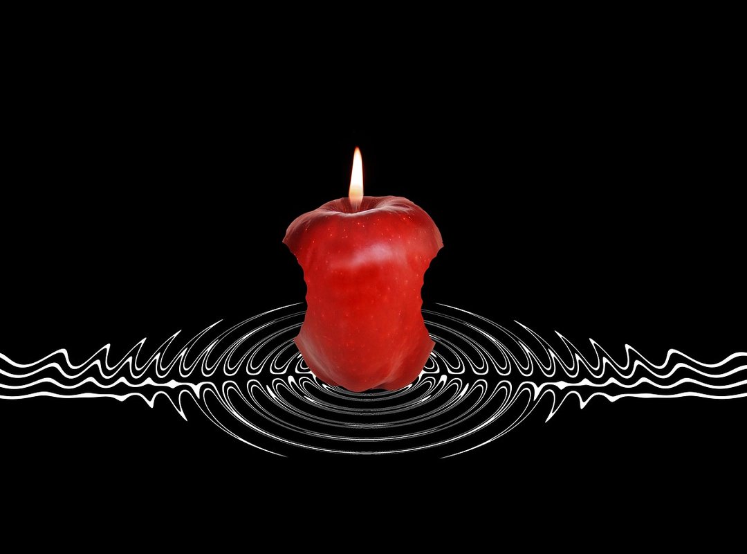 Impact and Reactions