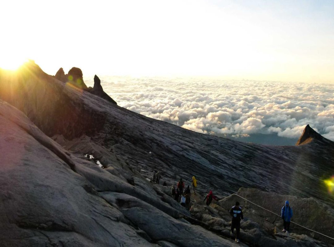 Important Considerations: Safety, Legality, and Ads