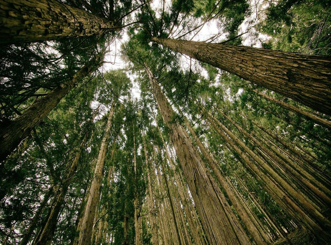 Solving Common Login Issues: Can't Access Your Account?