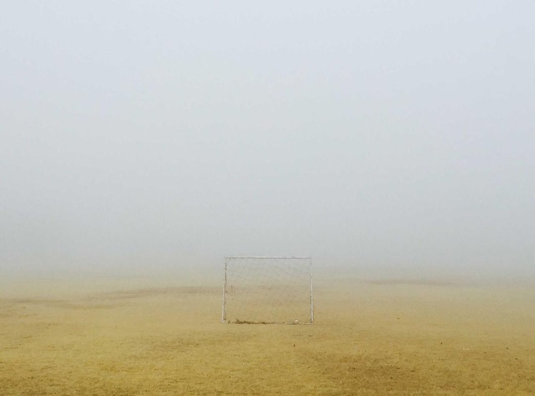 Nutrition Decoded: The Real Secret to Visible Abs