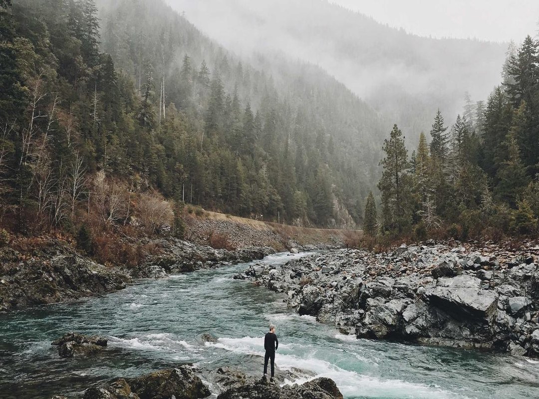 Beyond the Shop: What's Near the Lincoln Road UNIQLO